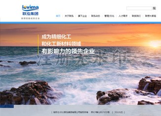 集团网站建设